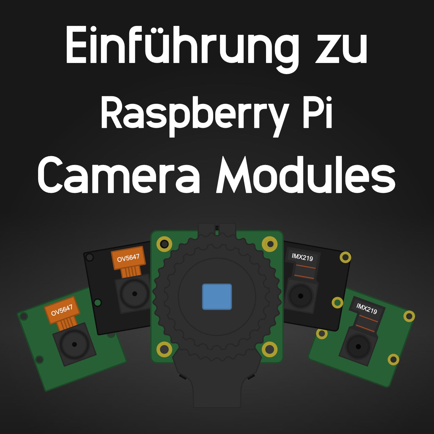 Einführung zu Raspberry Pi Camera Modules