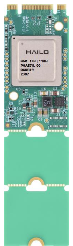 Hailo-8L M.2 module B+M Key 2280 (13 TOPS)