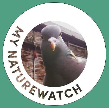 My Naturewatch Wildlife Camera