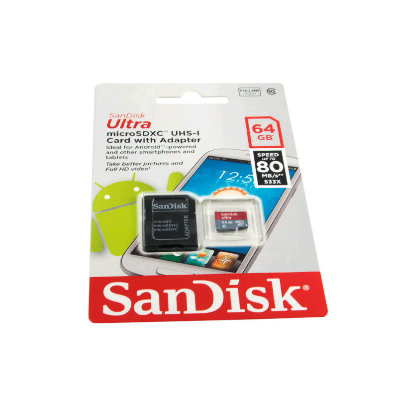 64GB Class 10 SanDisk MicroSD Karte